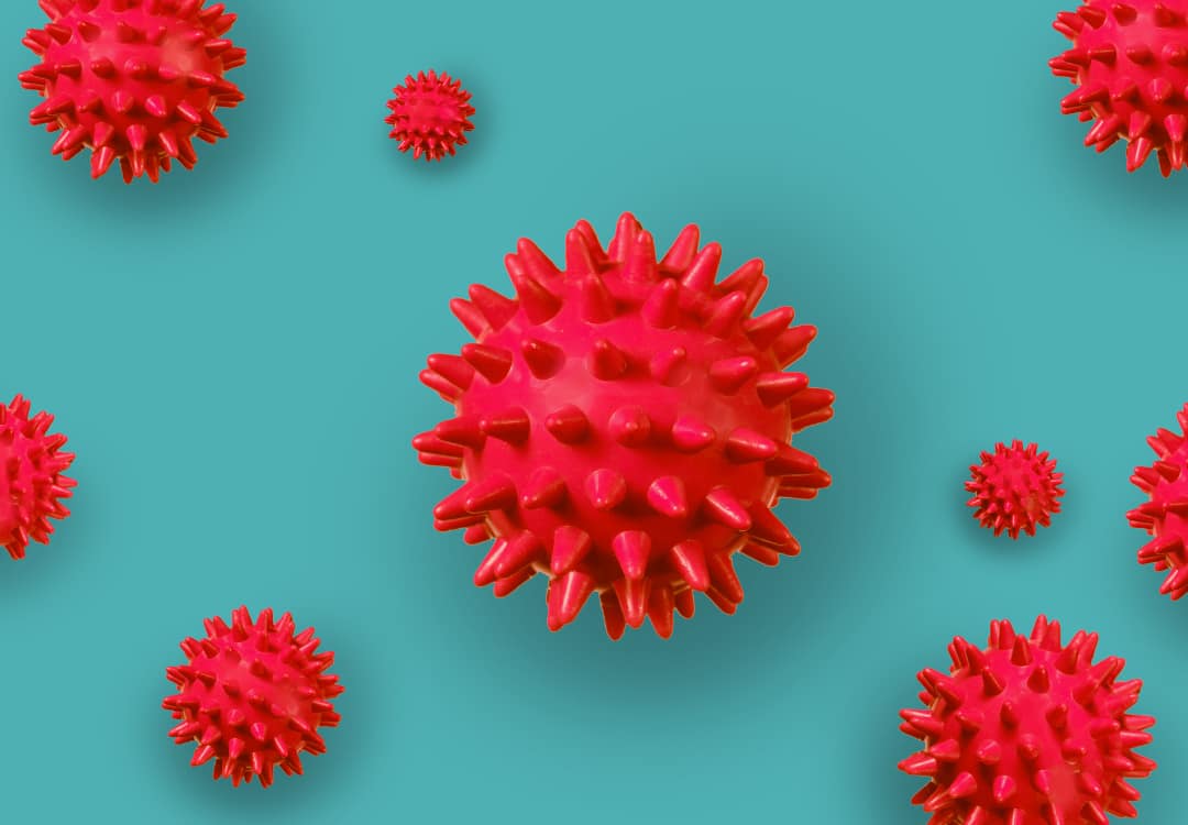 coronavirus coronavirus graphic