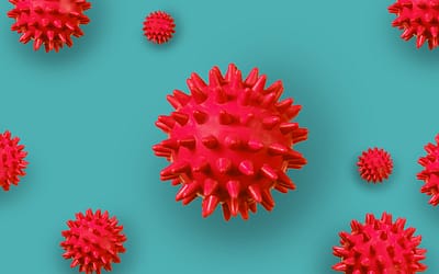 The Hearing Place CoVID-19 Protocol